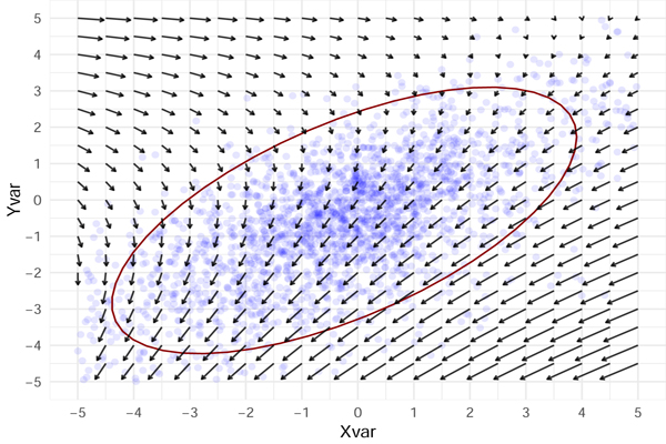 Dynamic Inference
